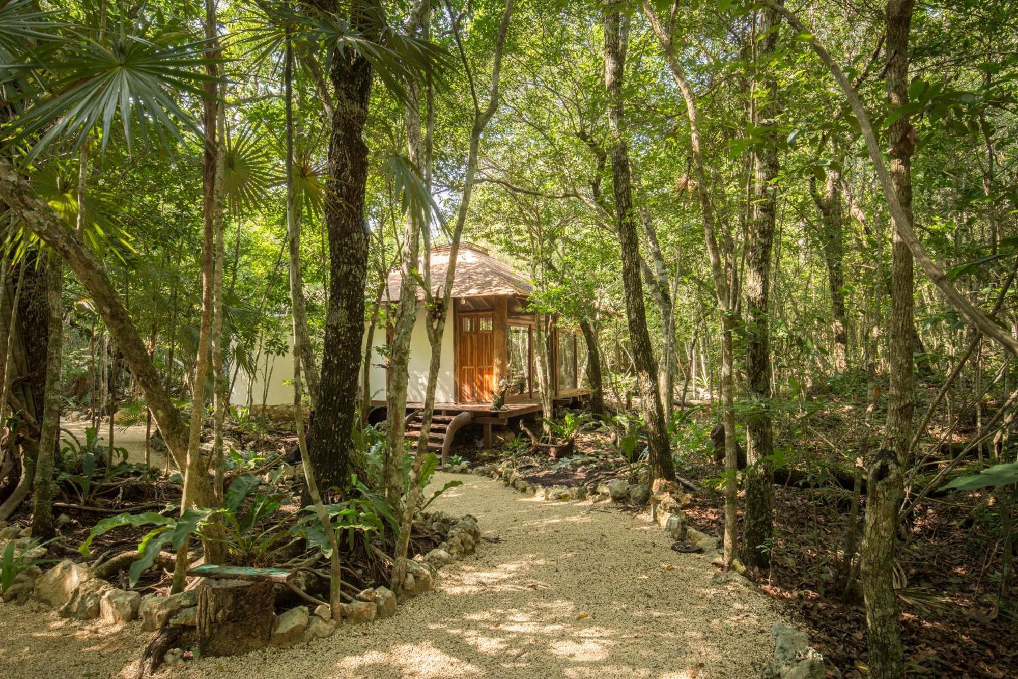 Pepem Holistic Experience - Peaceful Retreat Near Tulum (Adults Only) Villa Exterior photo