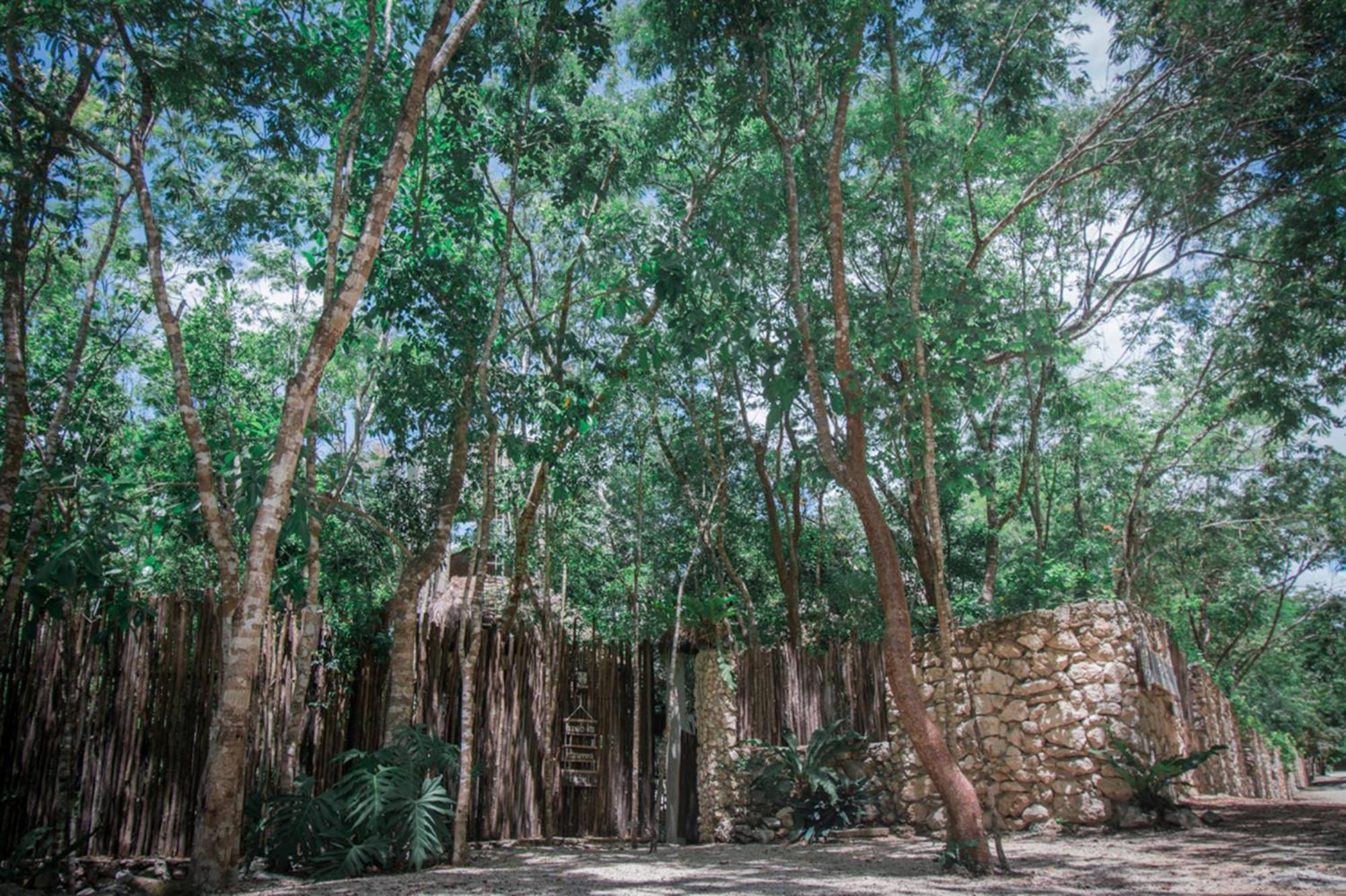 Pepem Holistic Experience - Peaceful Retreat Near Tulum (Adults Only) Villa Exterior photo
